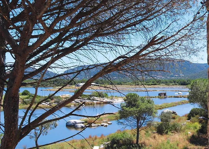 公寓 In Corsica Near Palombaggia